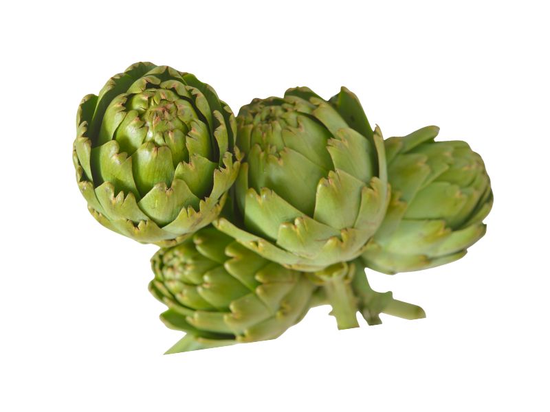 Artichokes