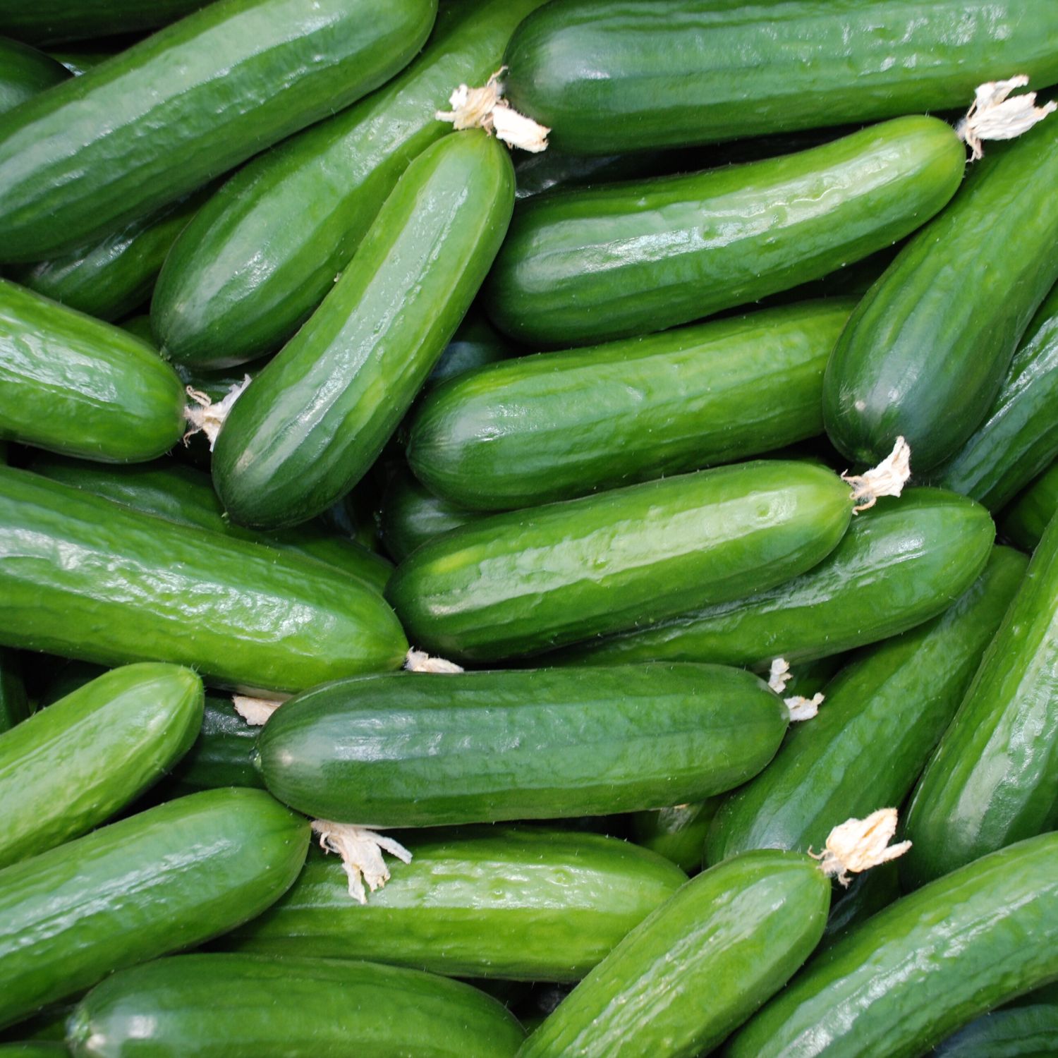 Cucumbers