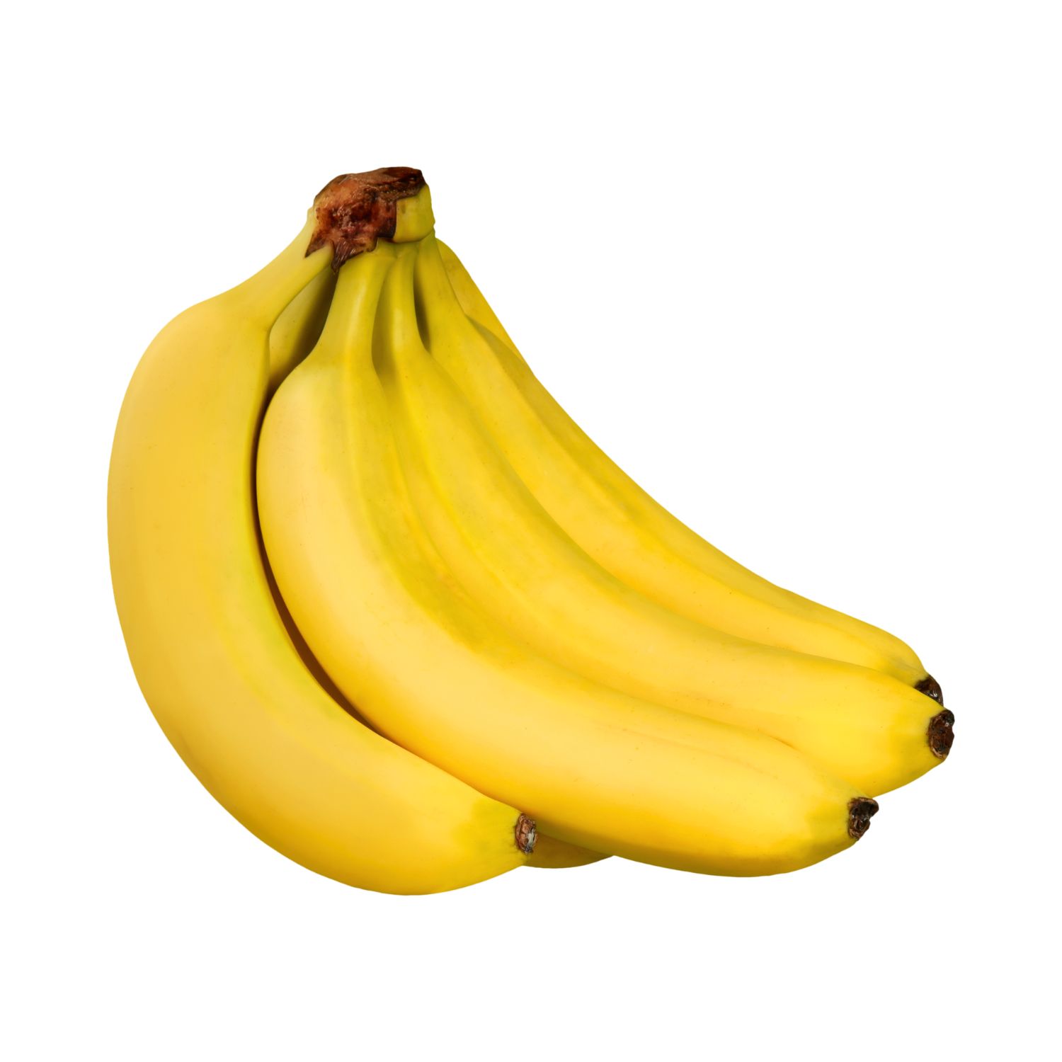 Ecuadorian Bananas