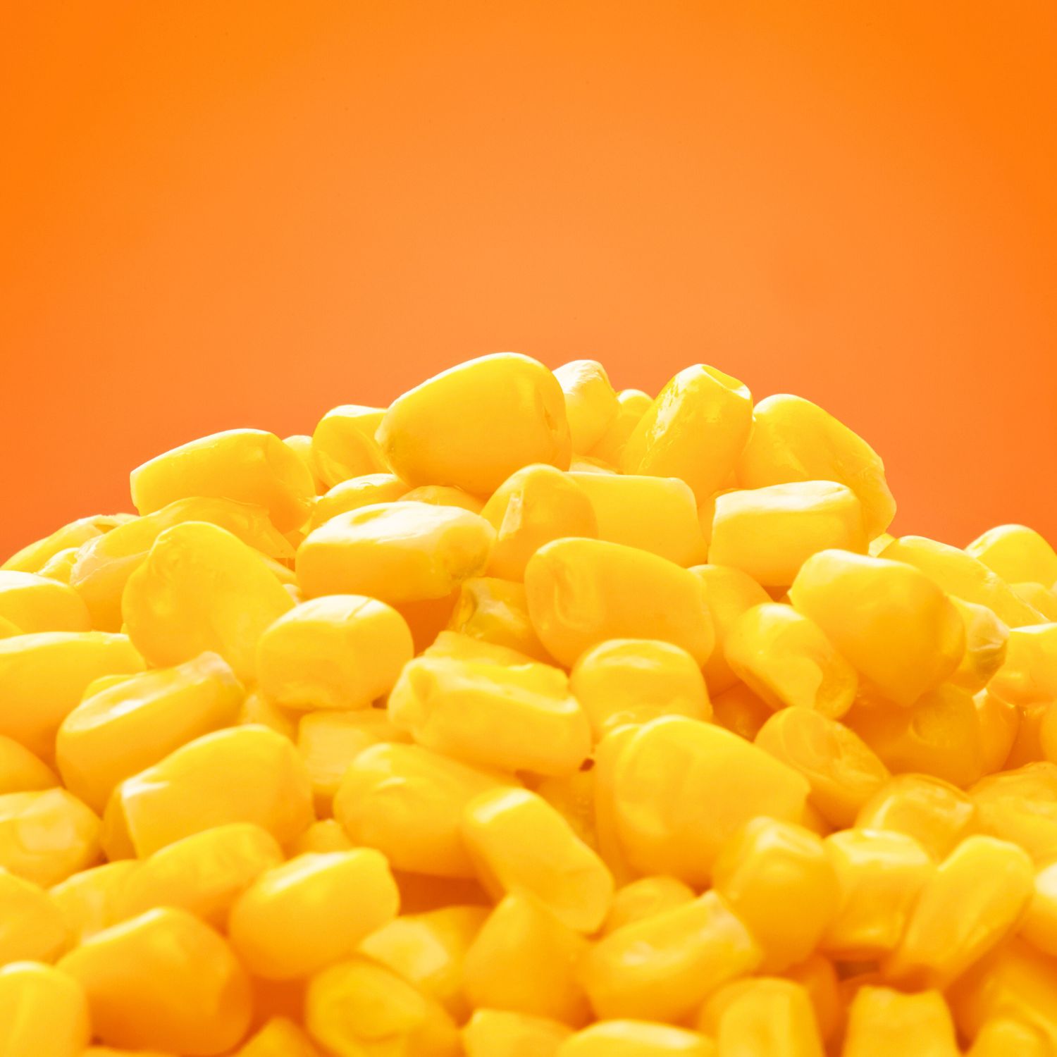 Frozen Corn