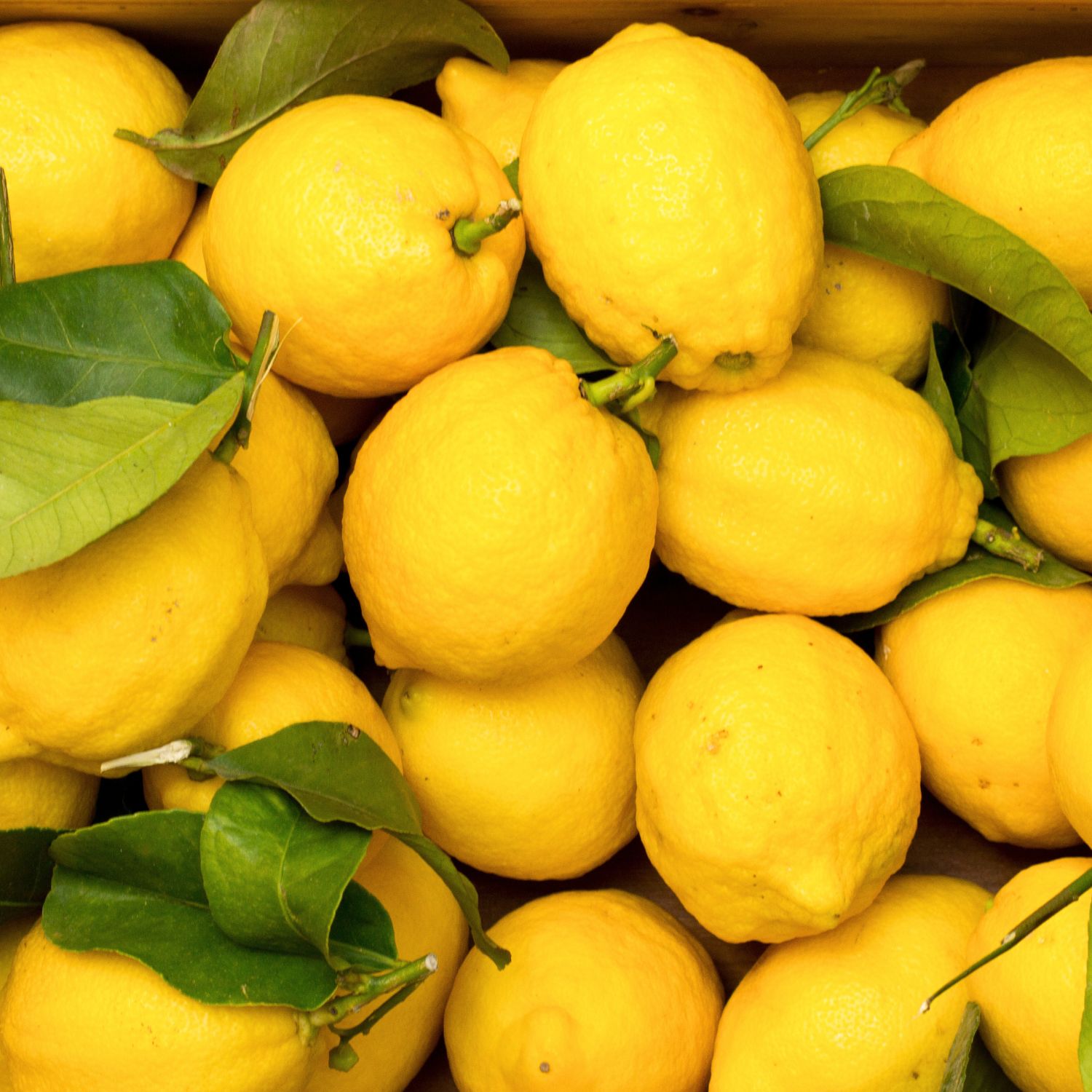 Yellow Lemons