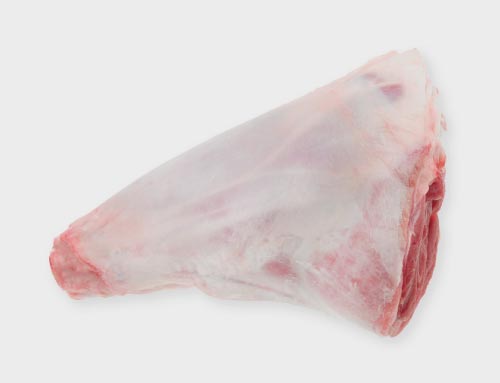 Hind Shank (Foreshank)