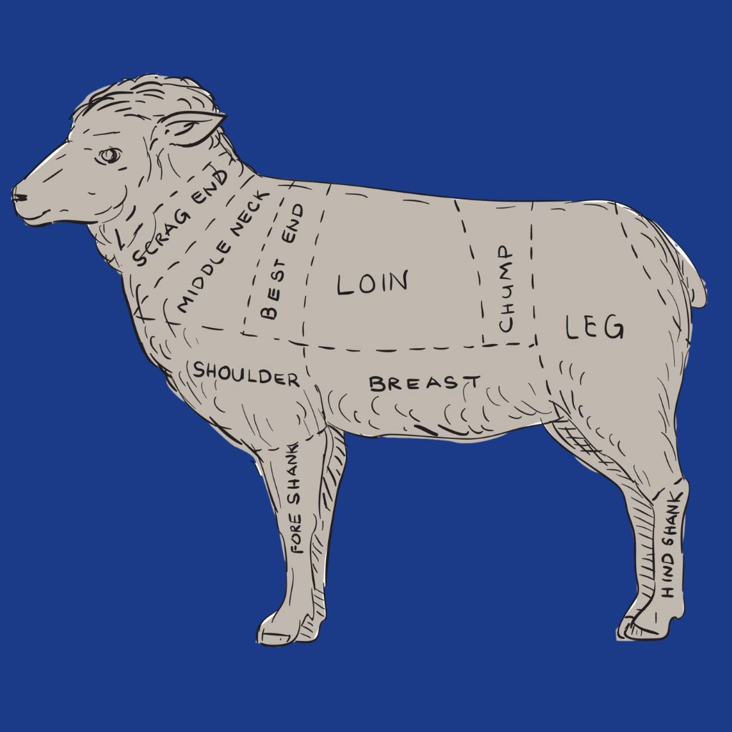 Diagram of lamb cuts with numbered sections