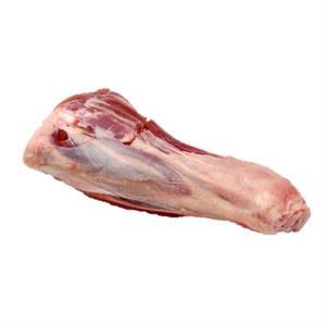 Shank (Fore and Hind)